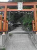 Mi_pahau