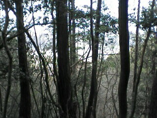 Pa0_0158
