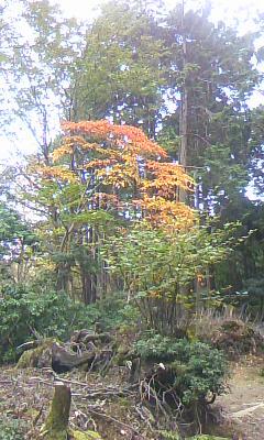 Pa0_0026