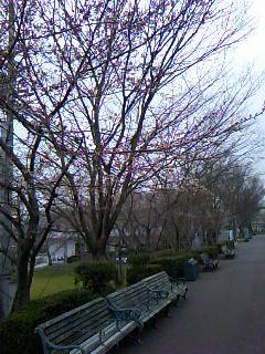 Pa0_0131