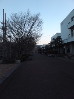110308_063301