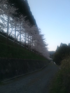 110413_062101_2